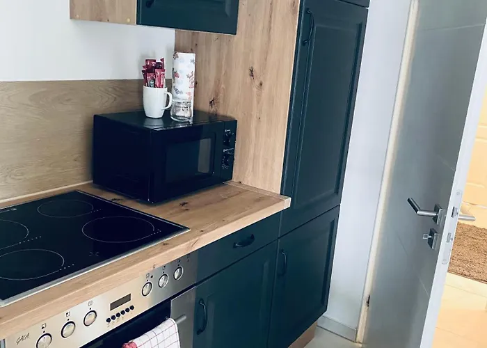 Rhein-neckar-apartments Апартаменты Фирнхайм