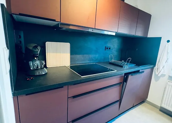 Rhein-neckar-apartments *