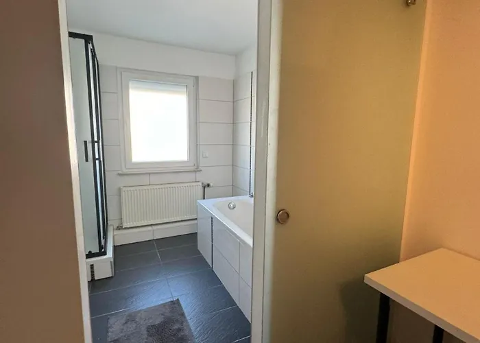 Апартаменты Rhein-neckar-apartments *